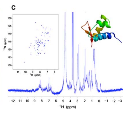 1D 1H NMR spectra with H2O presaturation of representative NESG targets obtained with a 1.7-mm micro NMR cryoprobe