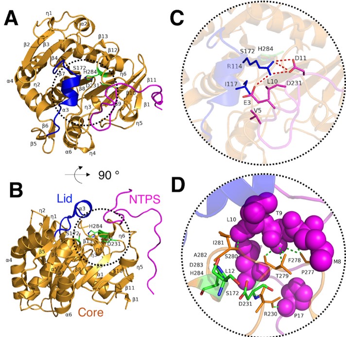 Publications – RPI Structural Bioinformatics Lab