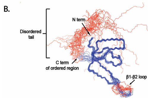 The C! backbone trace of IN 329–408
