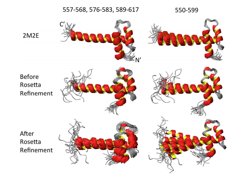 Superimposed ribbon diagrams using different regions for three HR8254A ensembles: 2M2E, ASDP structures before Rosetta refinement, and ASDP structures after Rosetta refinement