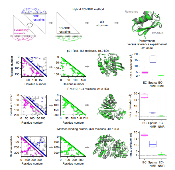 The EC-NMR approach