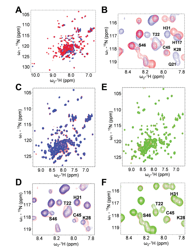 Arg24 and Lys28 are required for binding SA