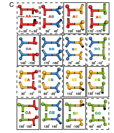 Discrete state model of protein local geometry.