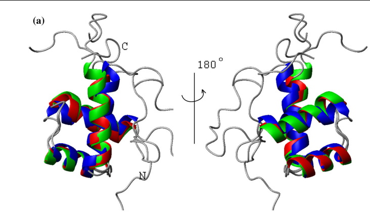 a Overlay of the ribbon representations of ALX4 (209–280) (green), ZHX1
(462–532) (red), and CASP8AP2 (1916–1982) (blue)