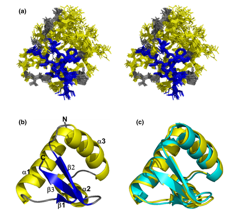 Stereoview of the
superimpositions of the 20 lowest energy structures of
human ZaDLM-1