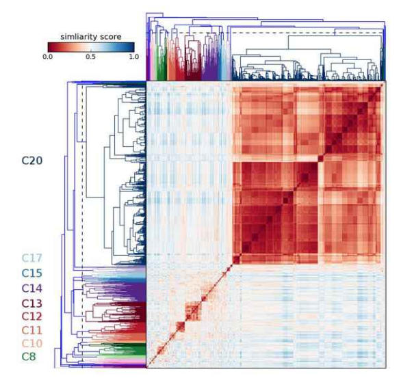 Chemical clustering and visualization applied to macromolecular crystallography