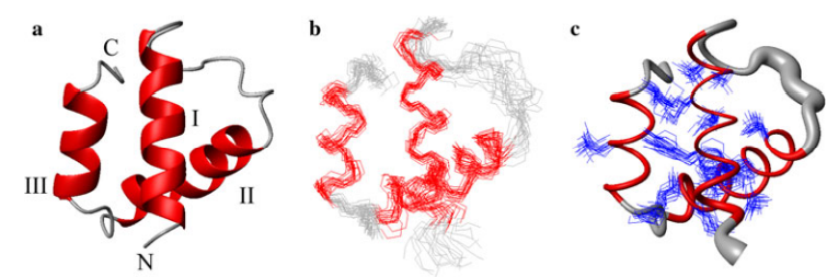 1 NMR Structures of BVU_0683(627–691) (only residues 631–689 are shown for clarity)