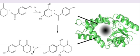  Morita−Baylis−Hillman reaction