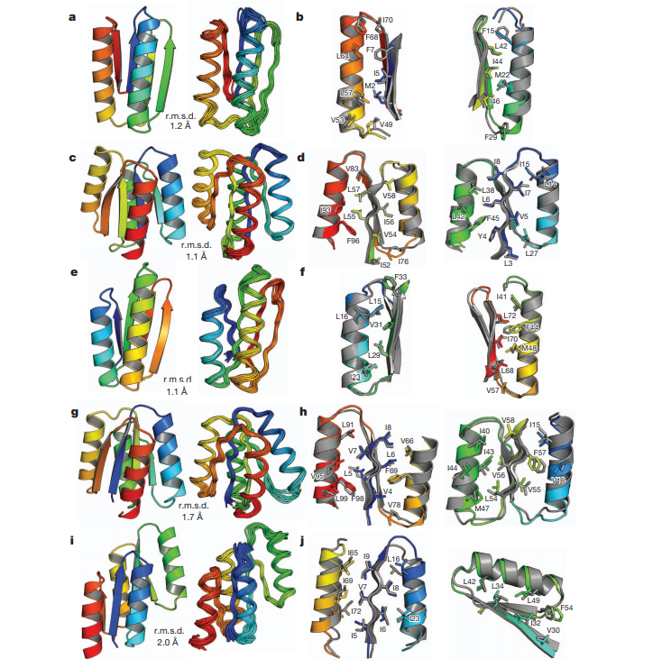  Comparison of computational models with experimentally determined structures.